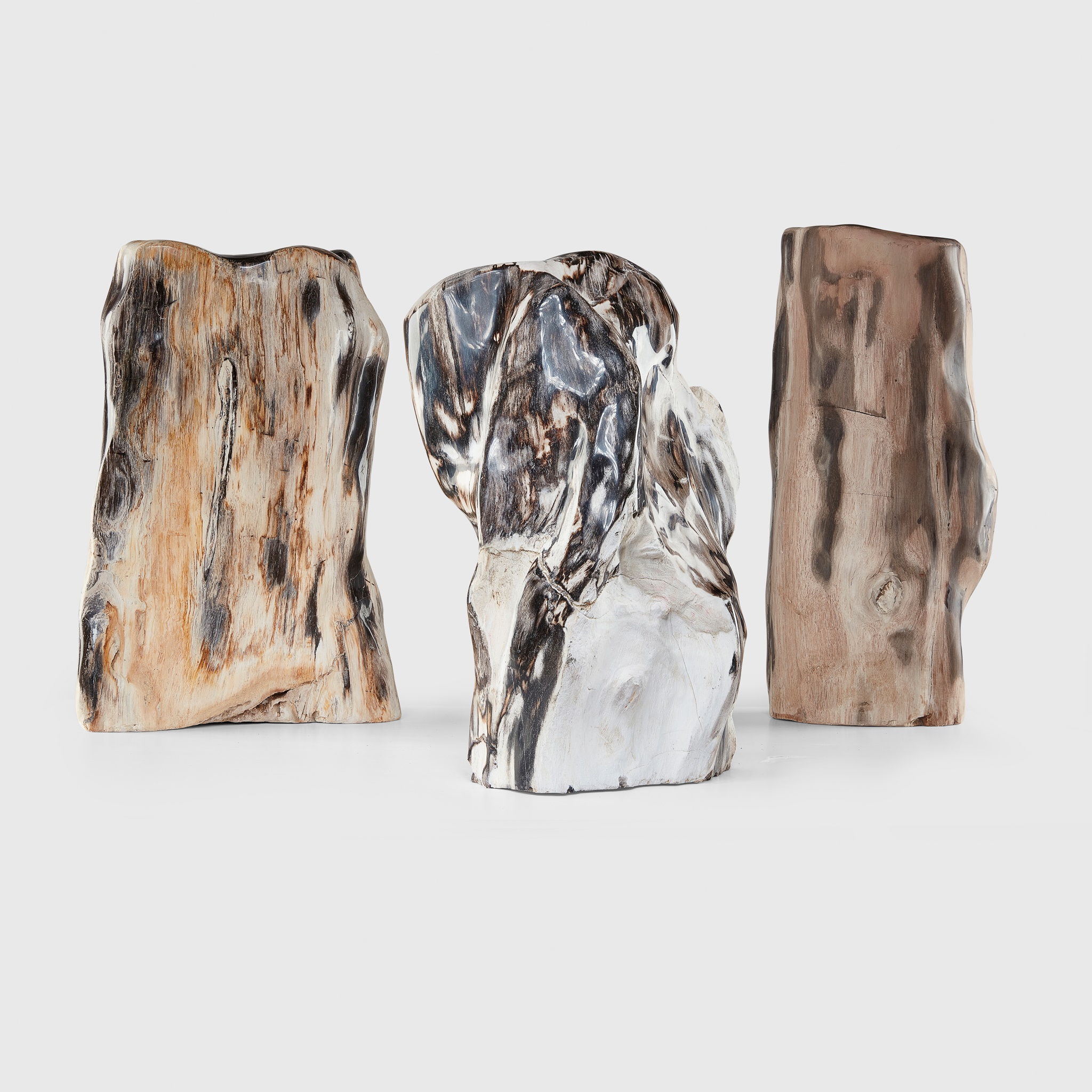 TRIO OF FOSSILISED WOOD SPECIMENS