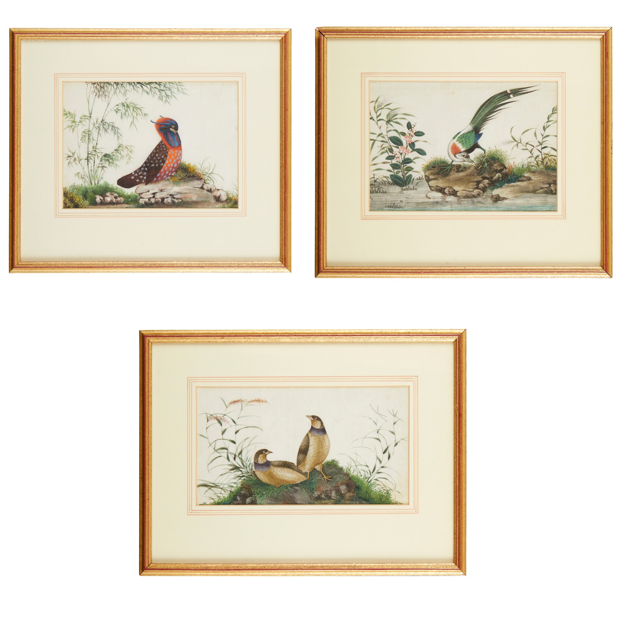 GROUP OF THREE PITH PAINTINGS OF BIRDS