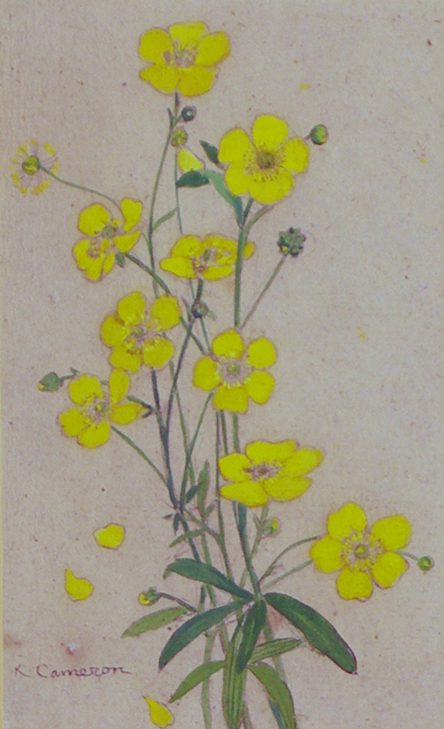 KATHARINE CAMERON R.S.W., R.E. (1874-1965) SCOTTISH