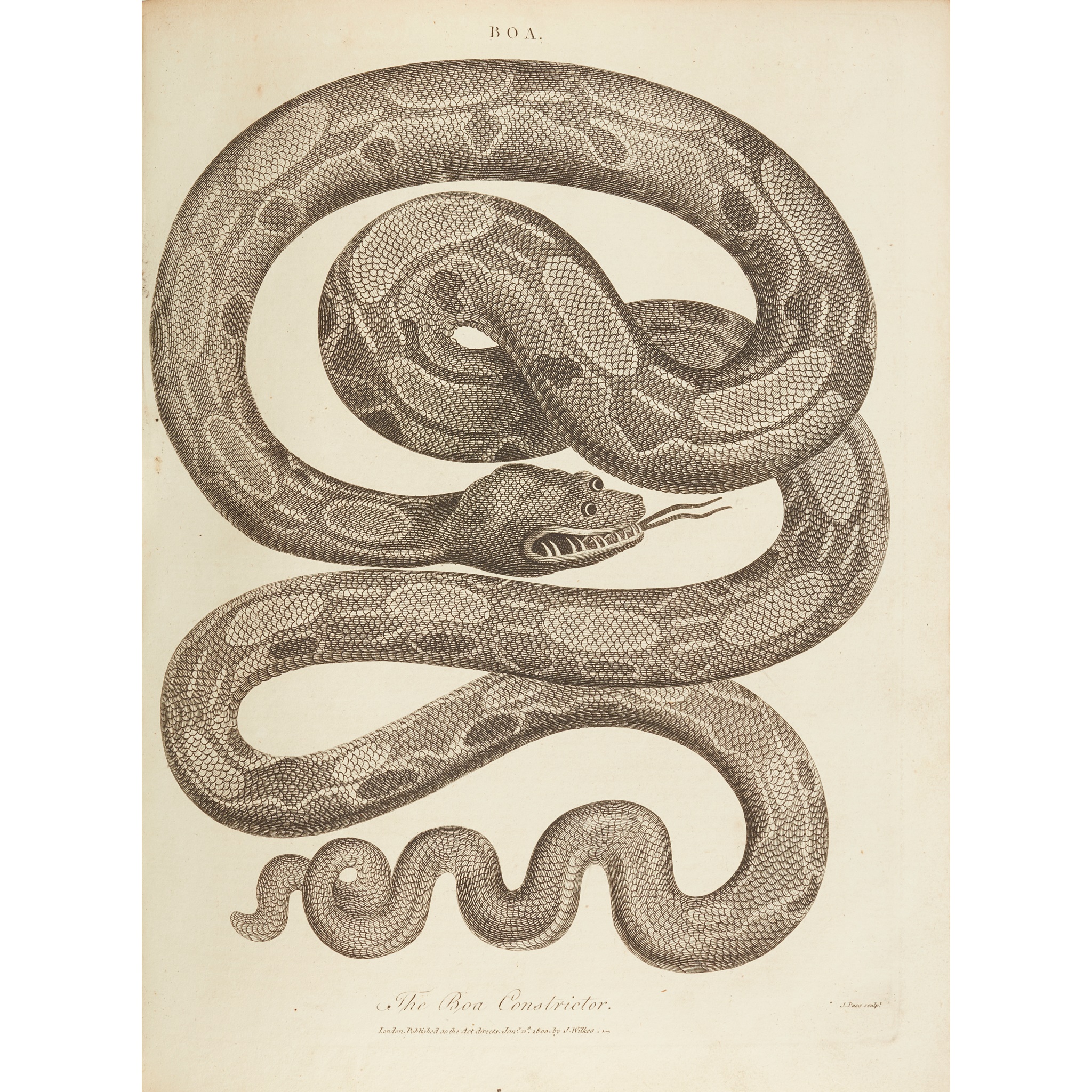 Encyclopaedia Londinensis
