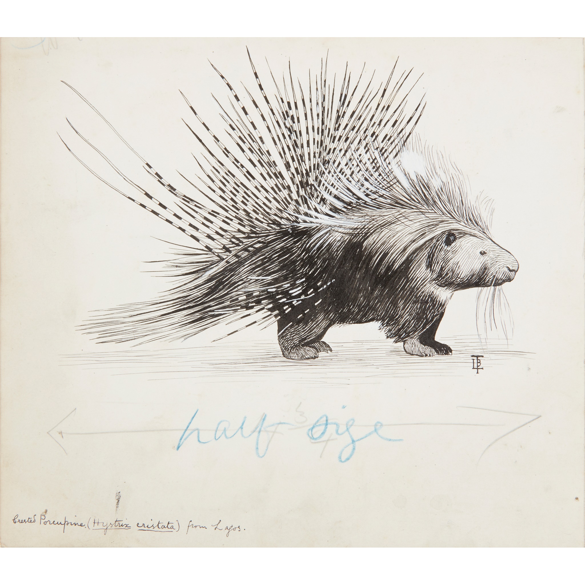 Thompson, L. Beatrice