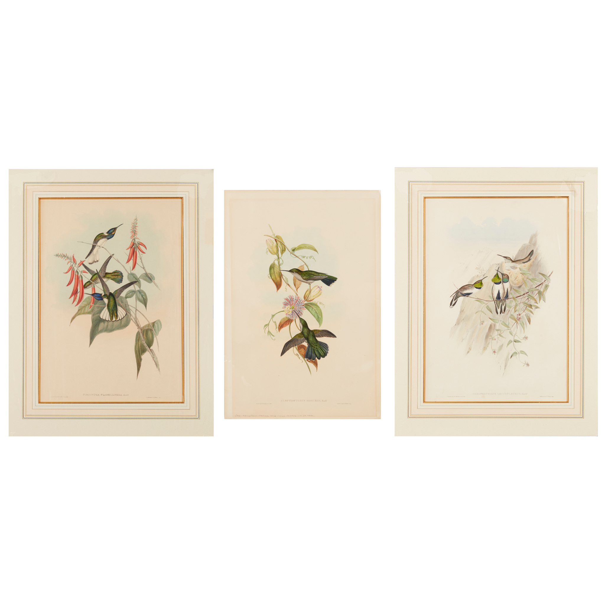 Gould, John