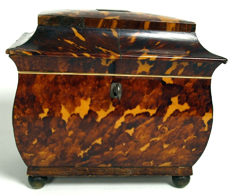 A Regency tortoiseshell tea caddy