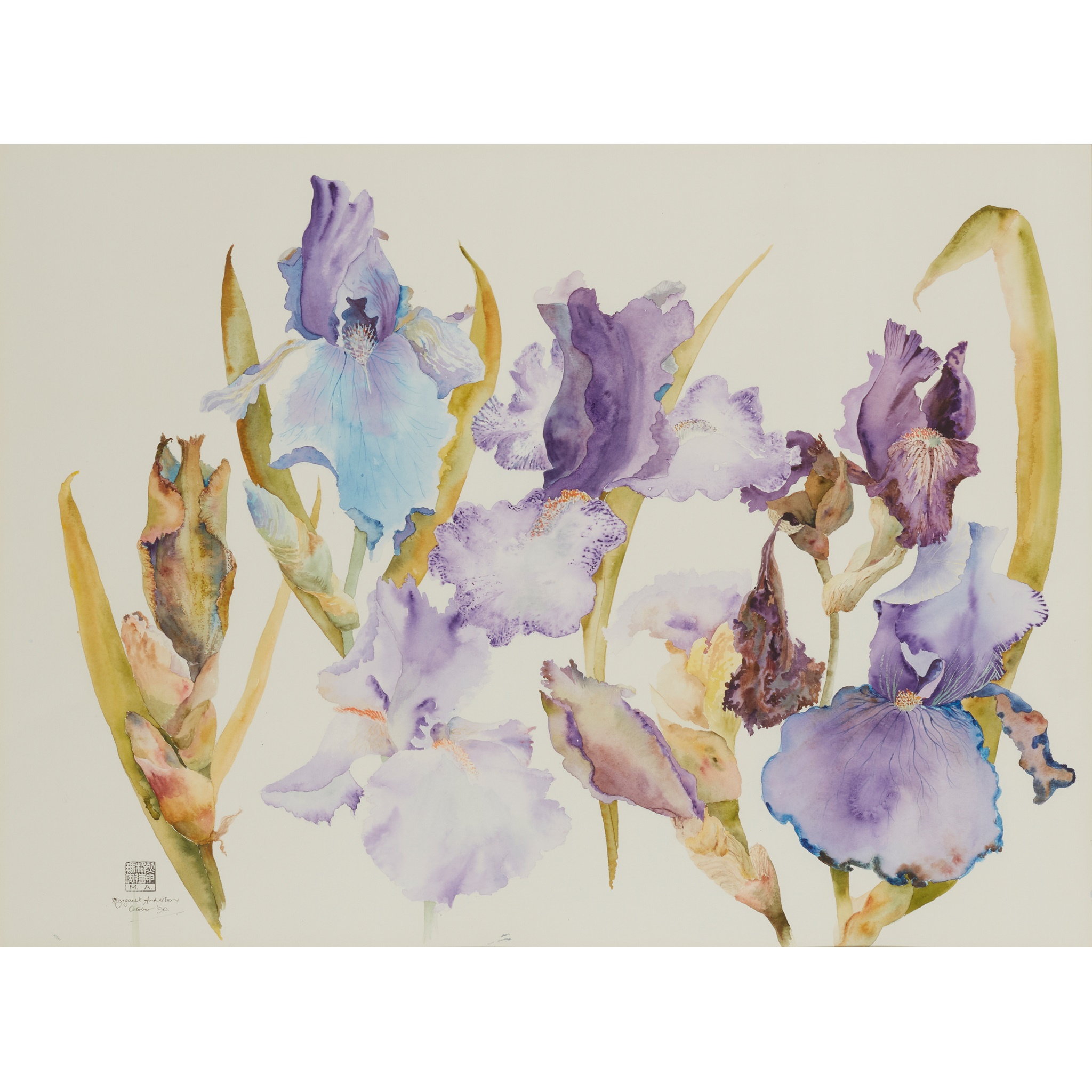 MARGARET ANDERSON (SCOTTISH CONTEMPORARY)