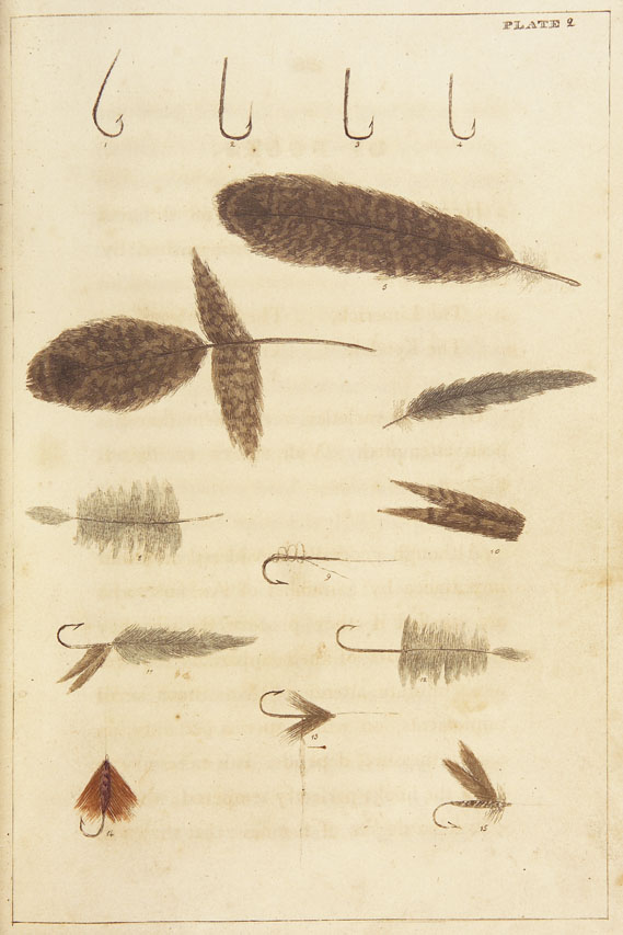 BAINBRIDGE George Cole