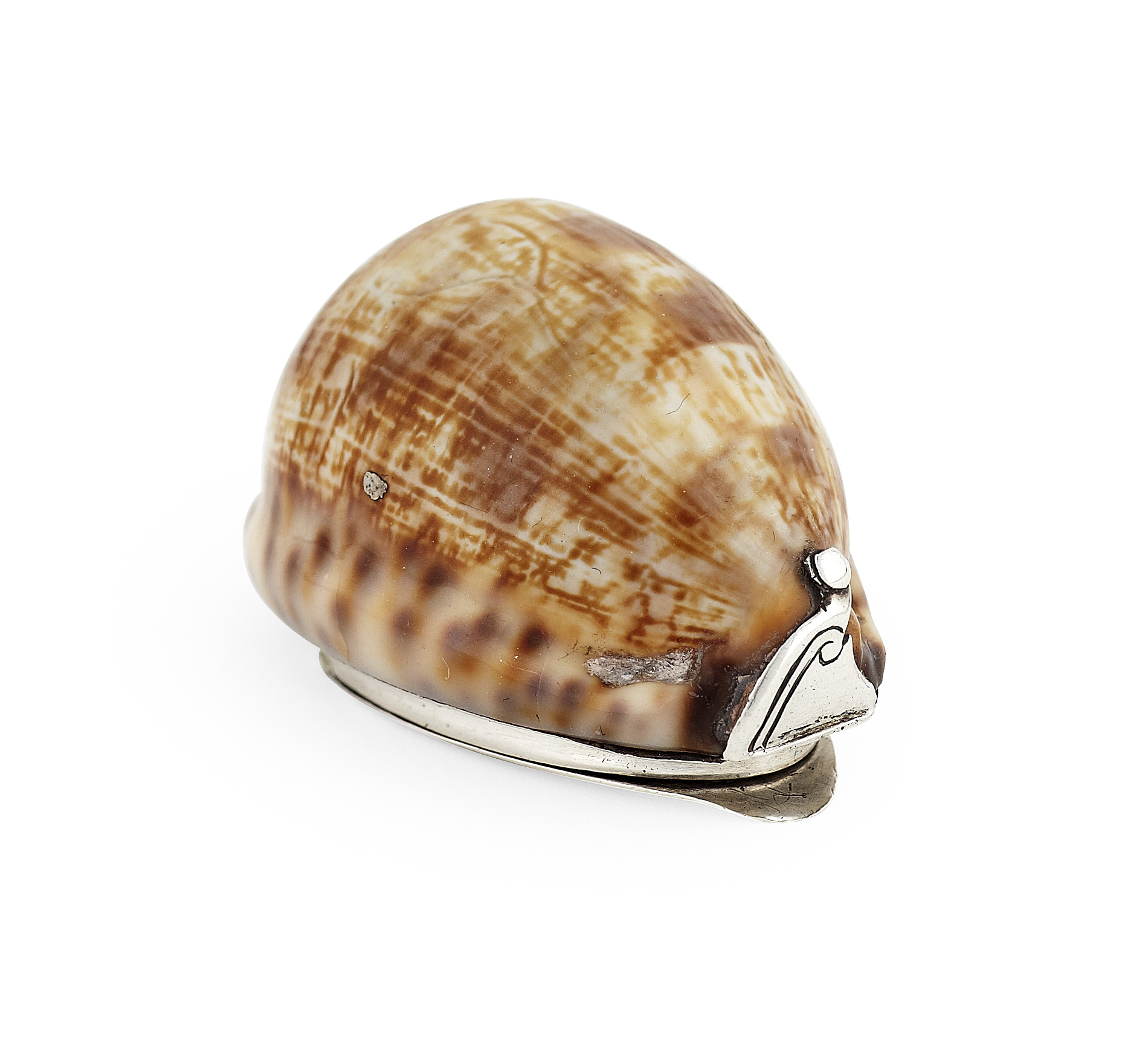 Canongate - a scarce Scottish provincial cowrie shell snuff box