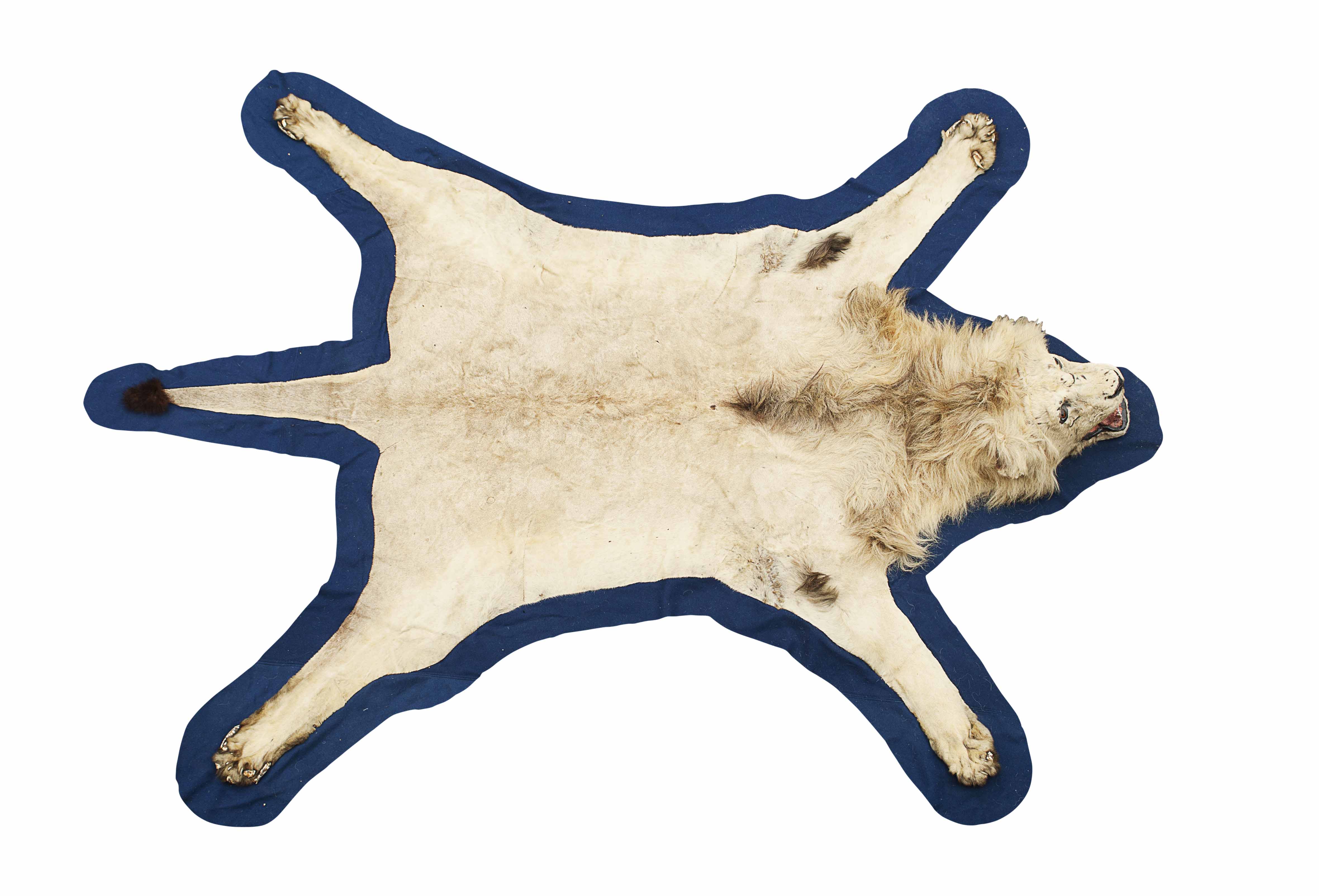 LION SKIN RUG