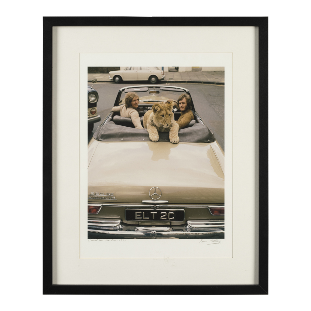 DEREK CATTANI - JOHN RENDALL