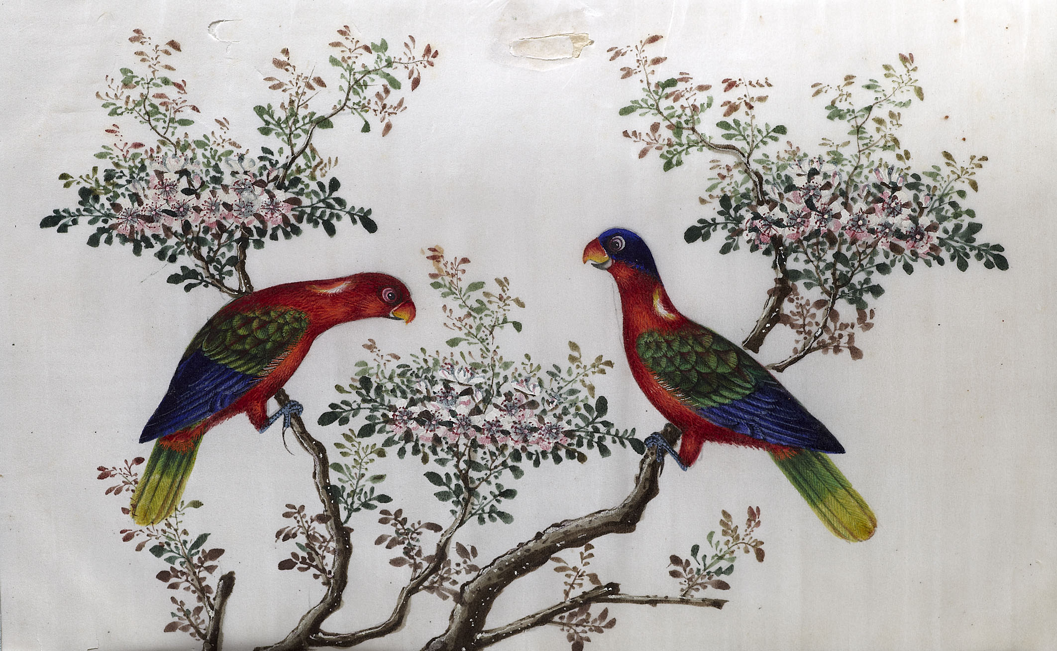 FOLIO OF CHINESE RICE PAPER PAINTINGS