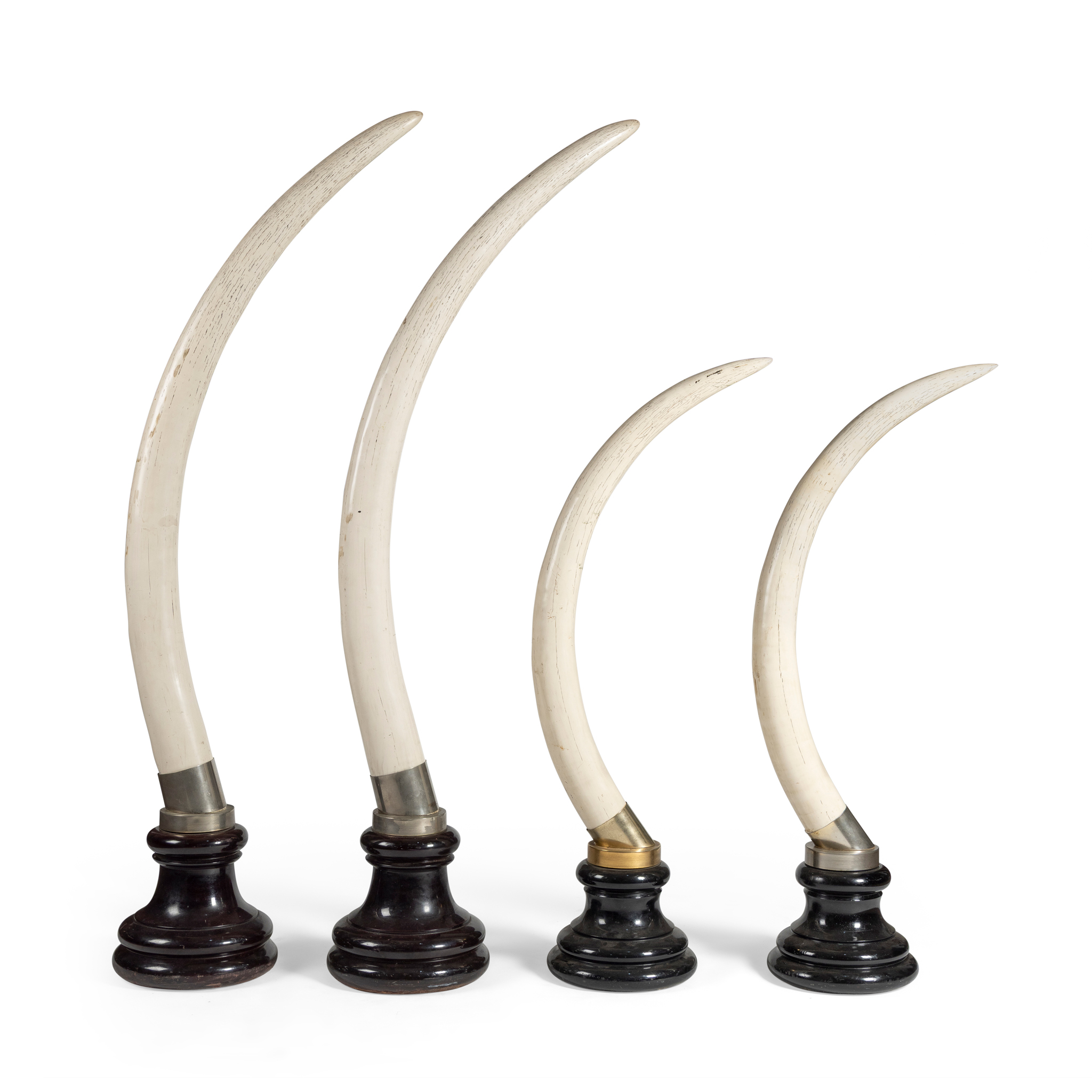 TWO PAIRS OF GRADUATED RESIN TUSKS