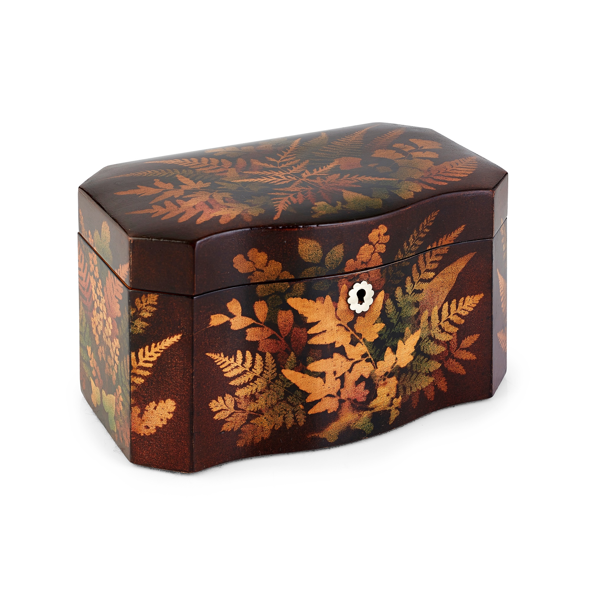 A MAUCHLINE FERNWARE TEA CADDY BY SMITH, MAUCHLINE