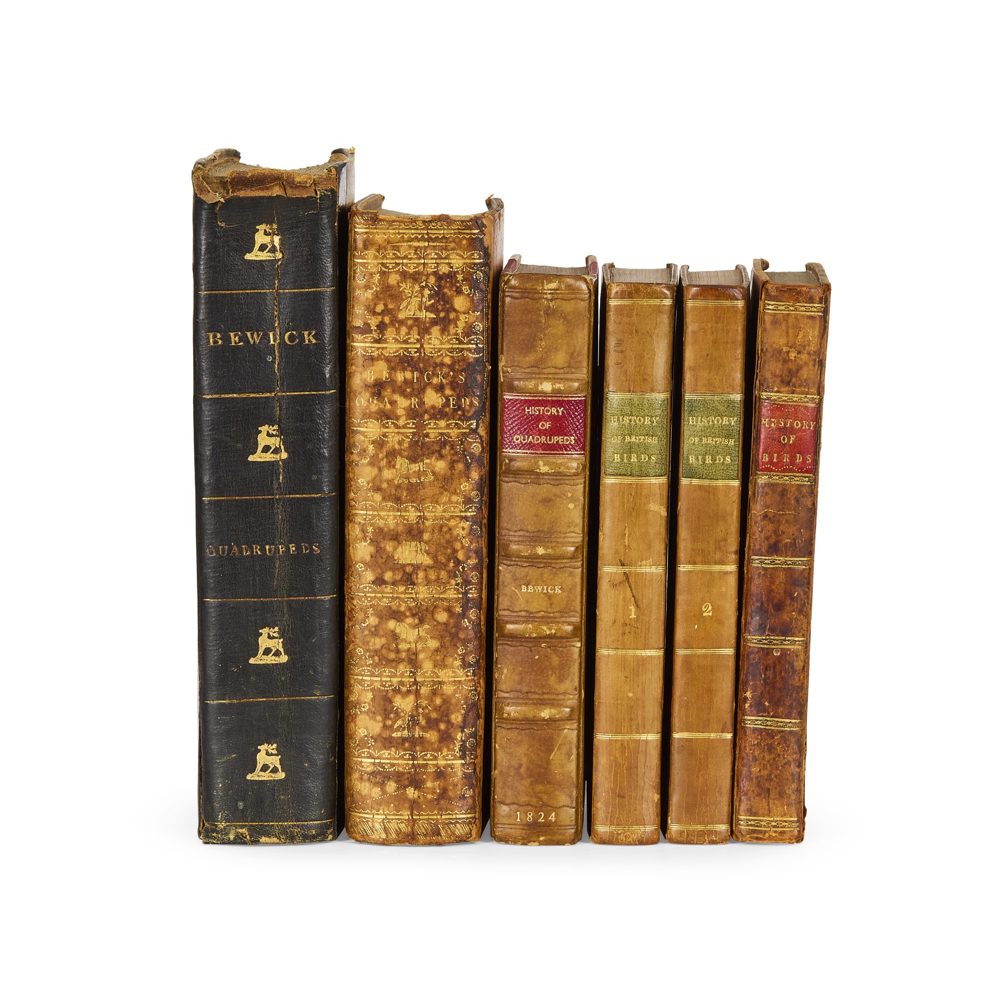 Bewick, Thomas