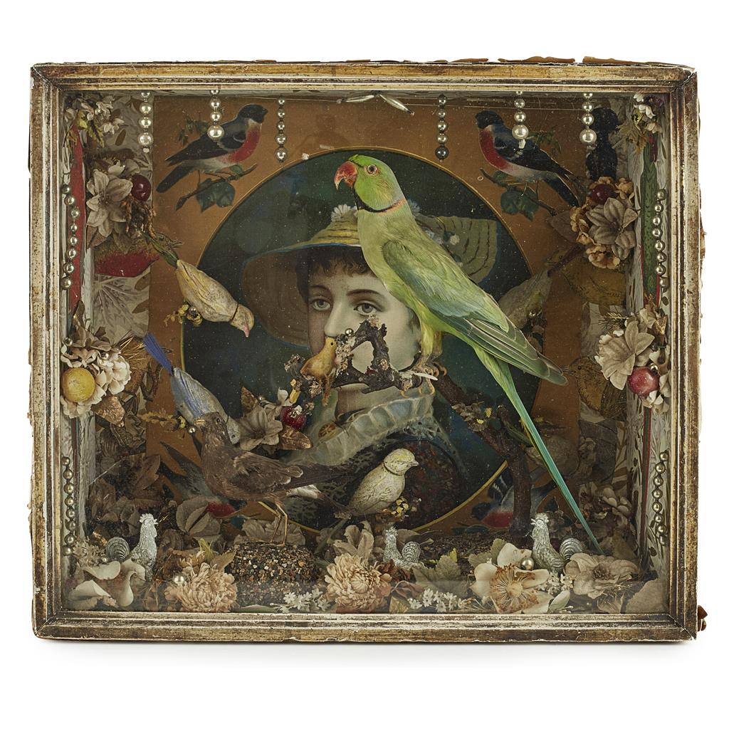 CASED TAXIDERMY ROSE-RINGED PARAKEET AND A STORM PETREL