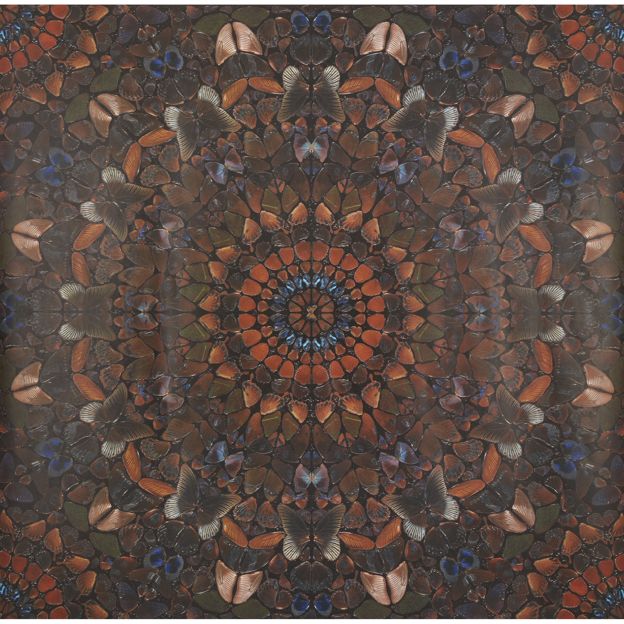 DAMIEN HIRST (BRITISH 1965-)