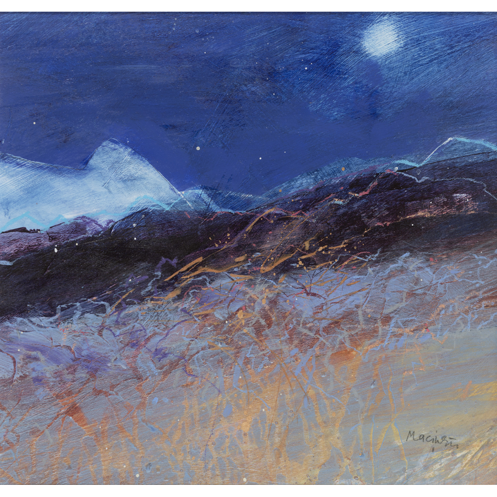 FIONA MACINTYRE R.S.W. (BRITISH CONTEMPORARY)