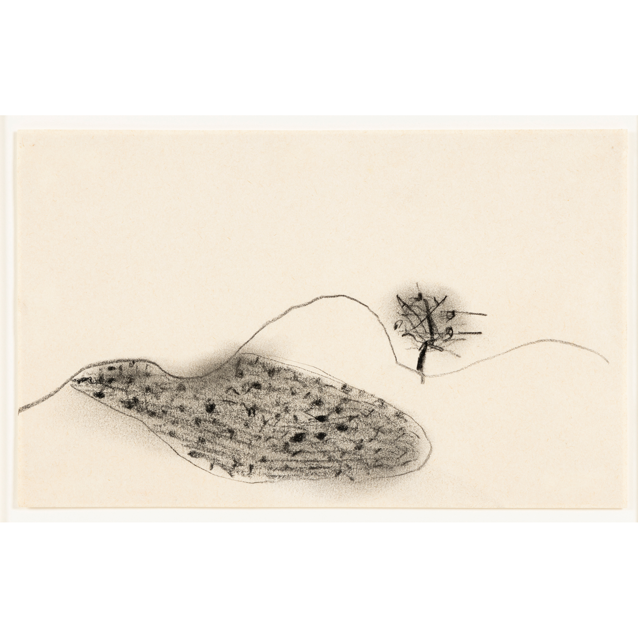 ROGER HILTON C.B.E. (BRITISH 1911-1975)