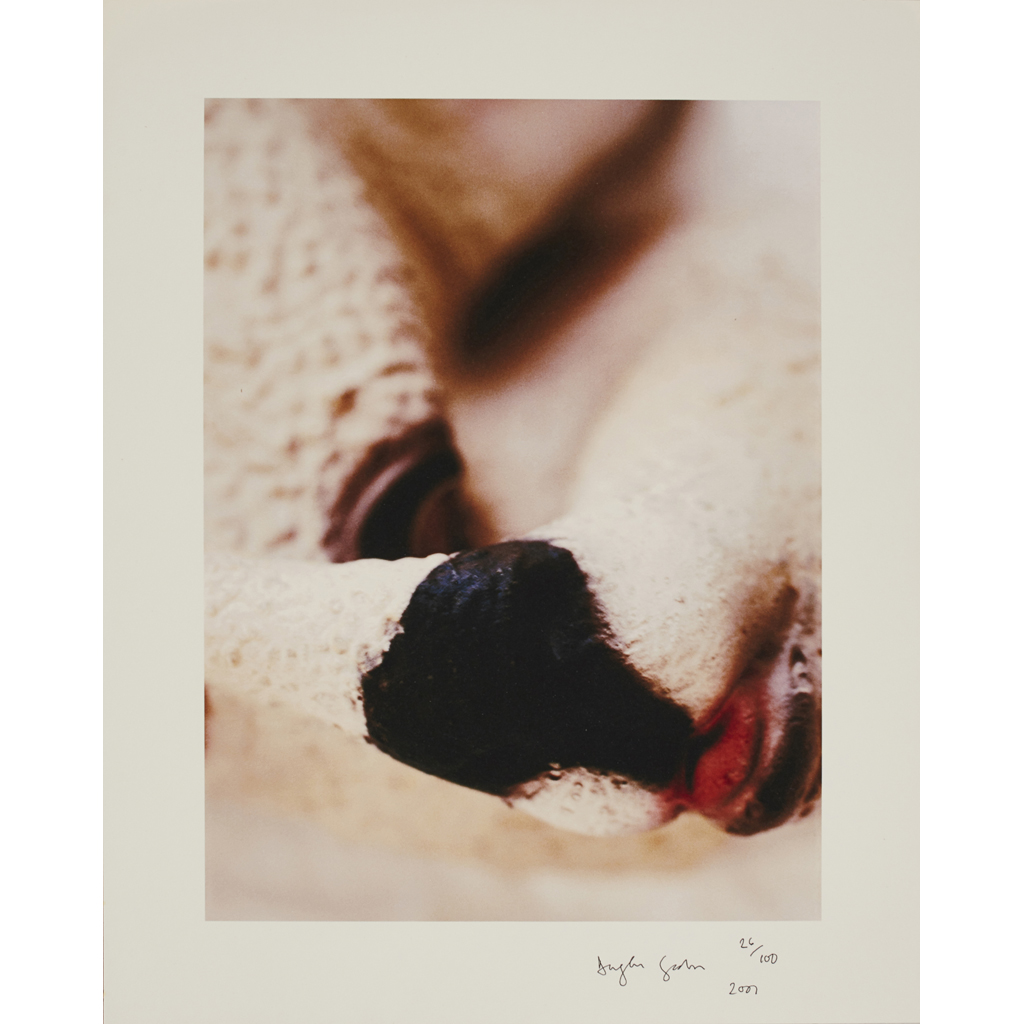 DOUGLAS GORDON (SCOTTISH B.1966)