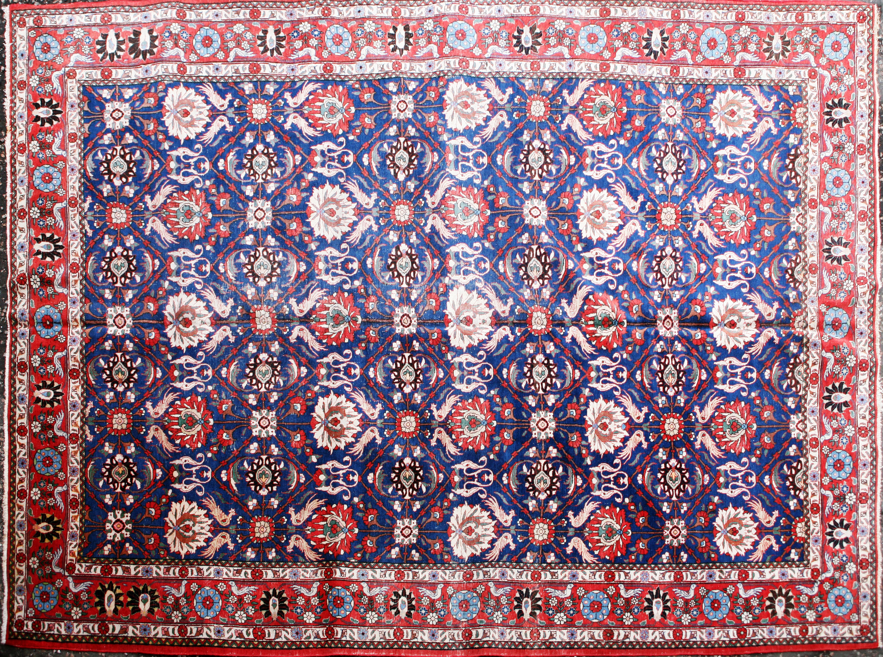 VERAMIN CARPET