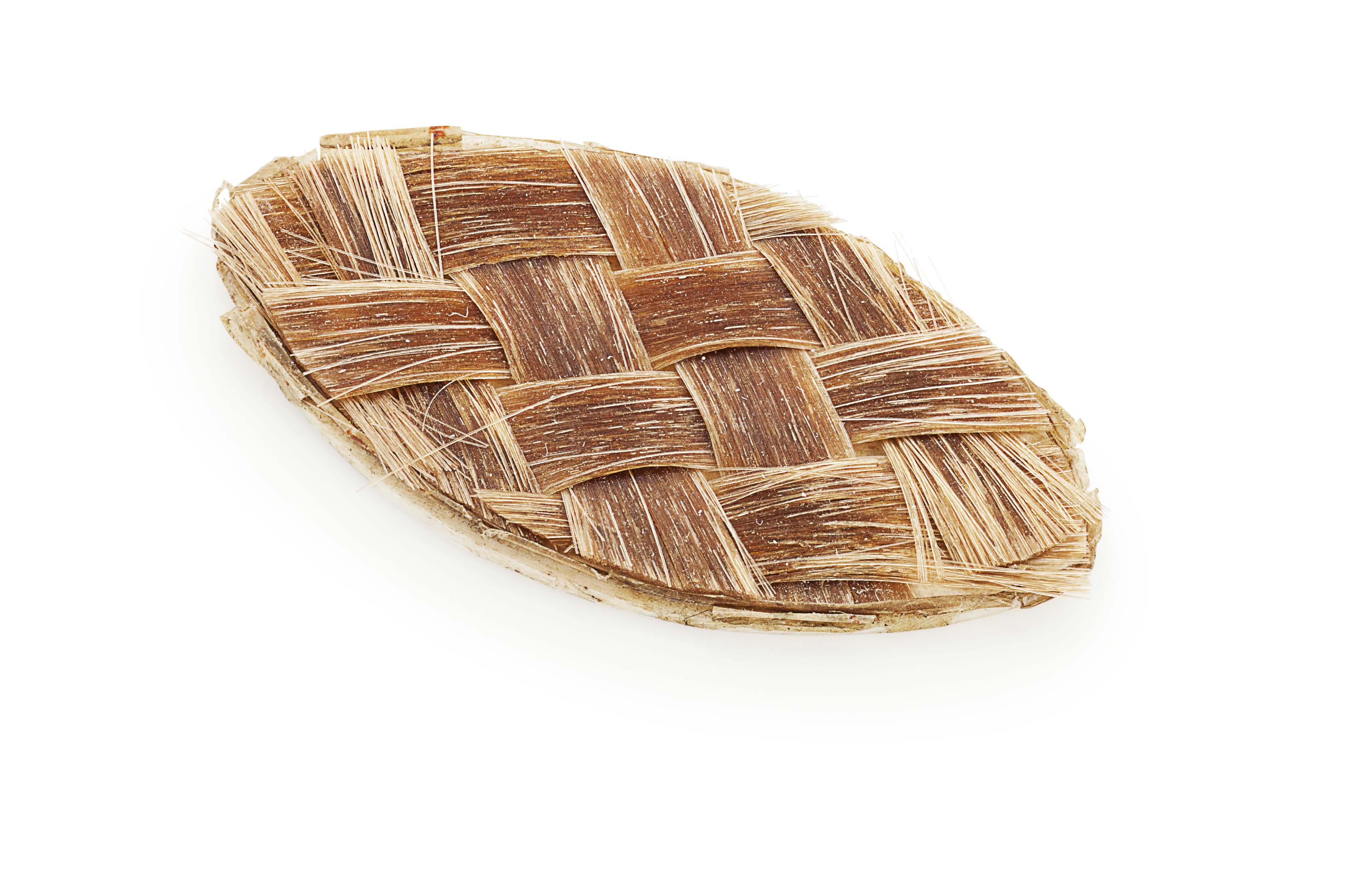 A lock of Prince Charles Edward Stuart's hair