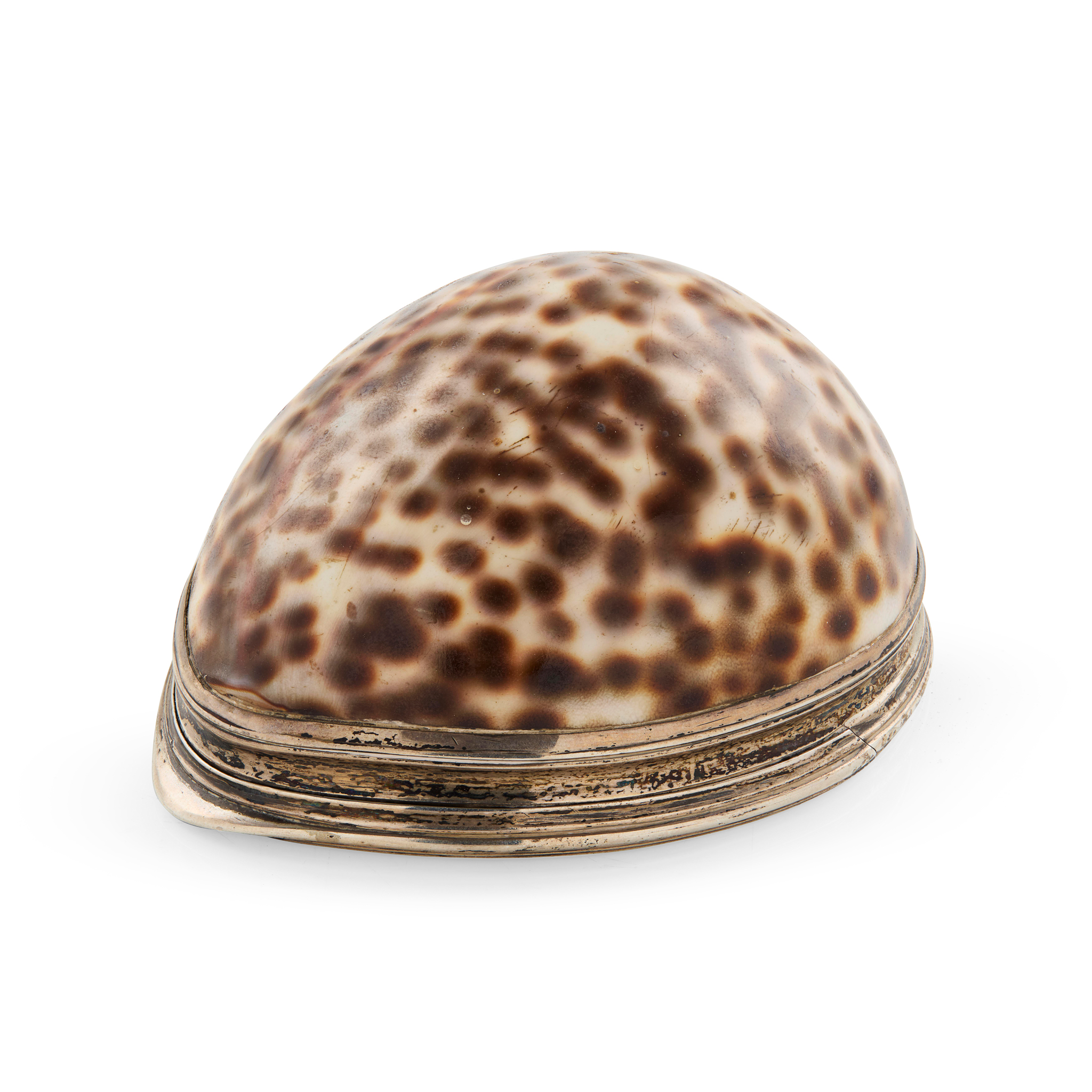A GEORGE III COWRIE SHELL SNUFF MULL