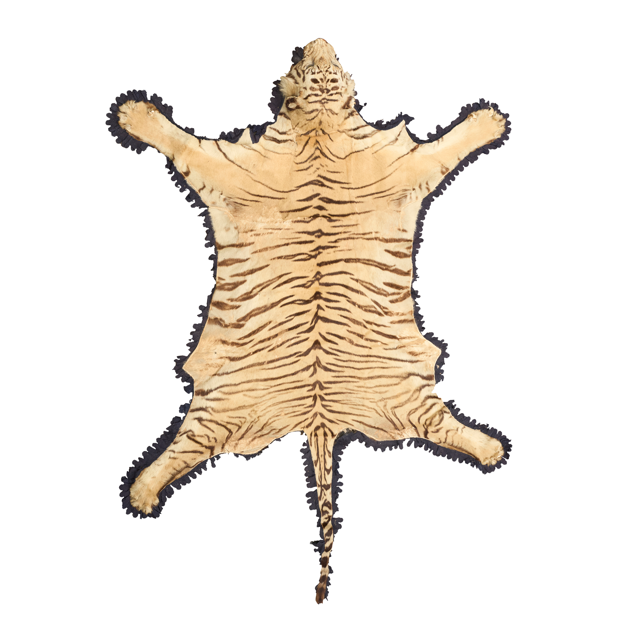TAXIDERMY BENGAL TIGER SKIN, BY GERRARD & SONS