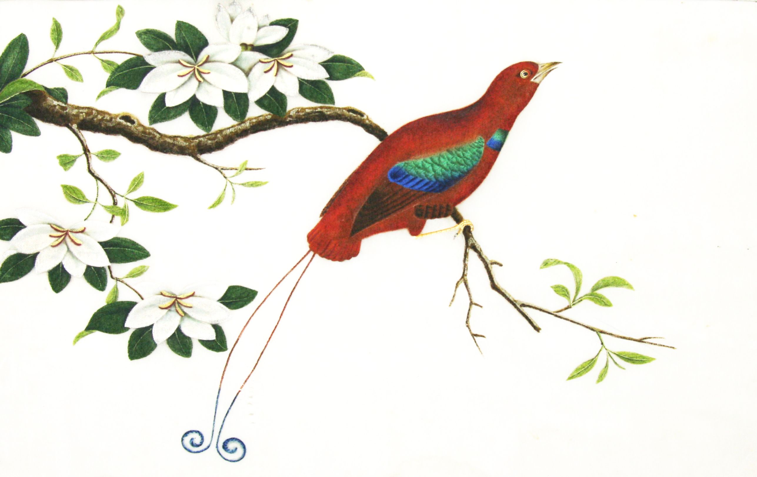 COLLECTION OF CHINESE EXPORT PAINTINGS ON RICE/PITH PAPER