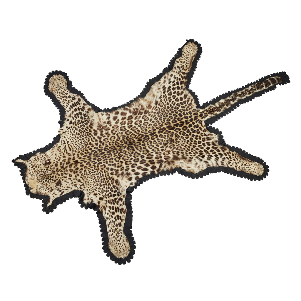 TAXIDERMY LEOPARD SKIN