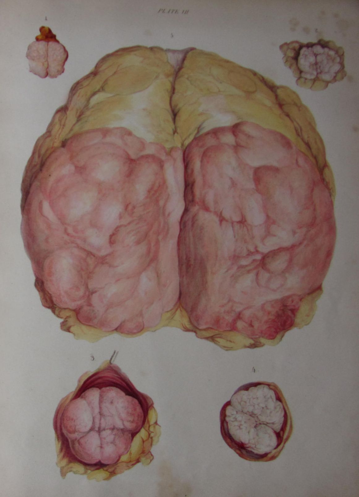 Cooper, Sir Astley Paston