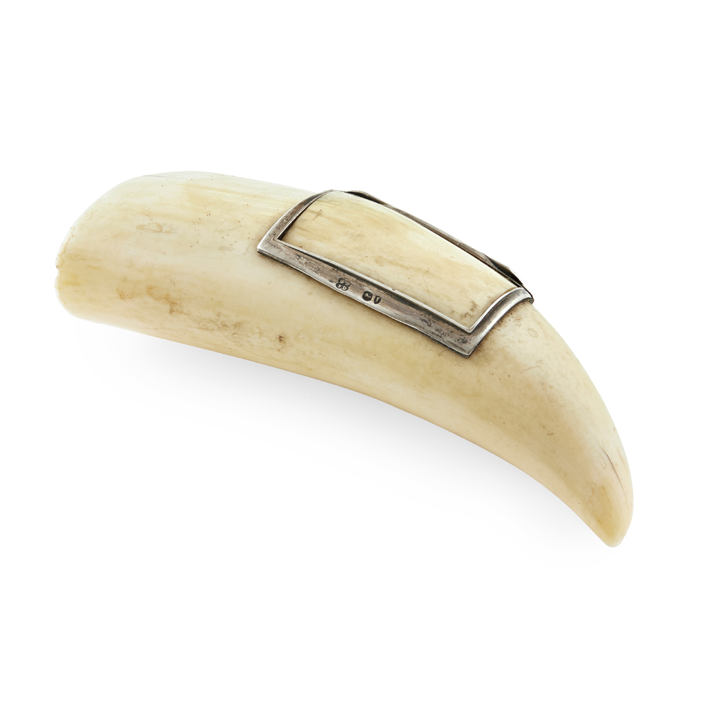 VICTORIAN SILVER MOUNTED SPERM WHALE TOOTH SNUFF BOX