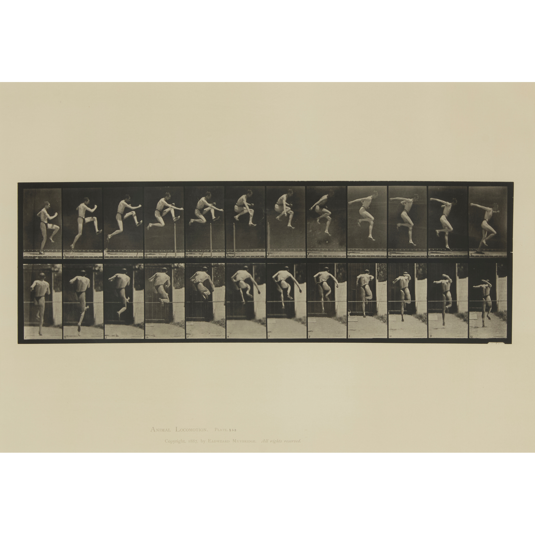 EADWEARD MUYBRIDGE (BRITISH 1830-1904)