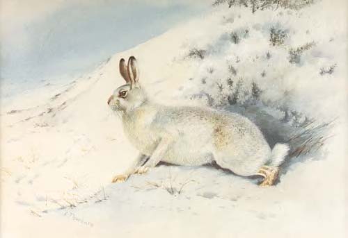 ARCHIBALD THORBURN (1860-1935)