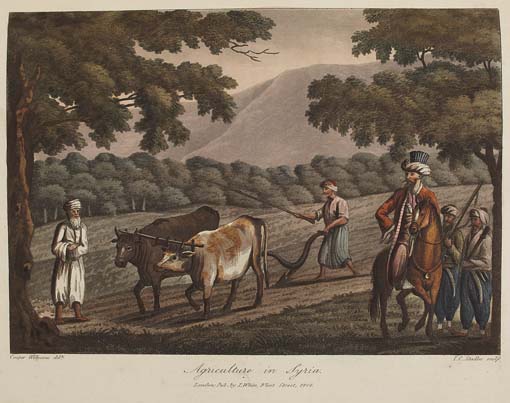 Willyams, Rev. Cooper