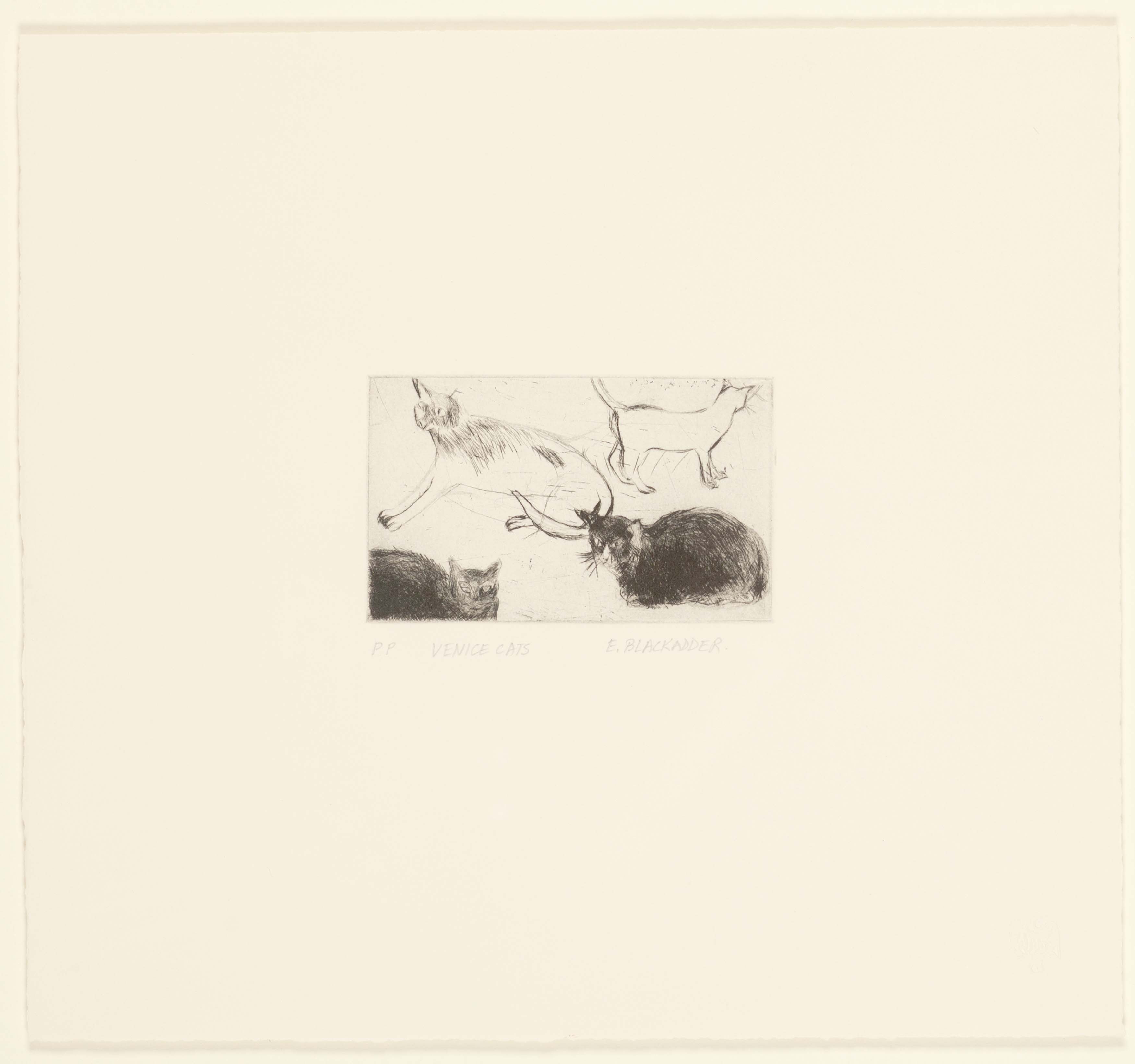 DAME ELIZABETH BLACKADDER D.B.E., R.A., R.S.A. (SCOTTISH B. 1931)