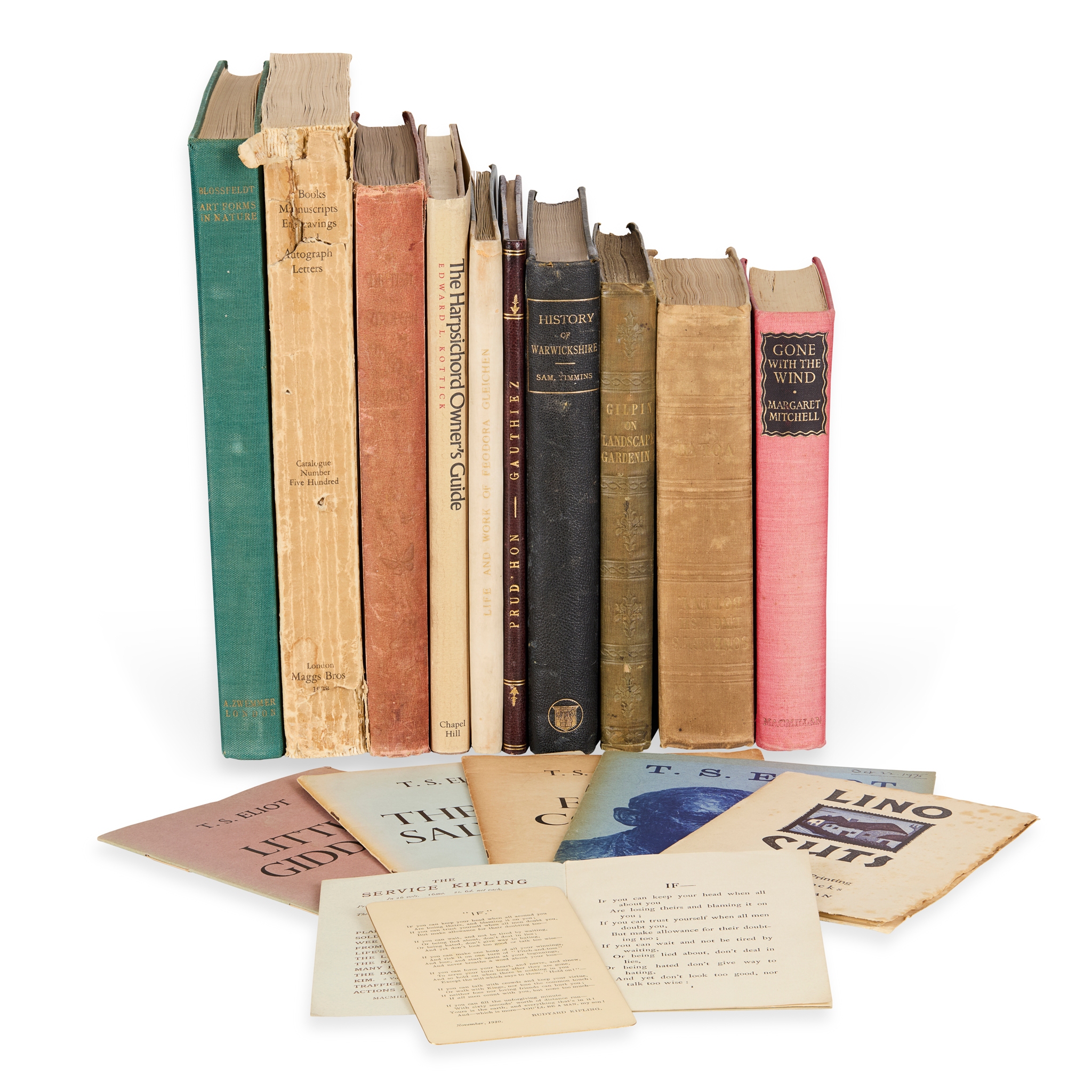 Natural History, including photography, art, literature and collecting