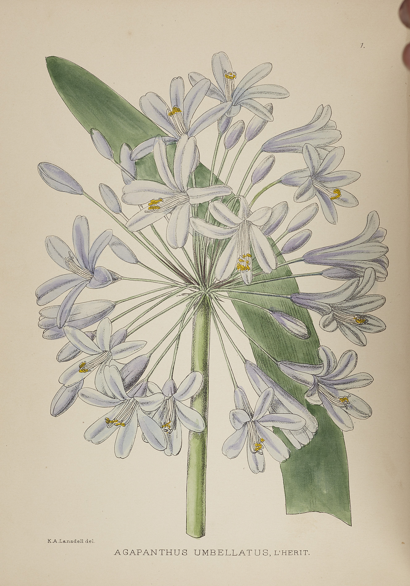 Evans, I.B.P., and others, editors