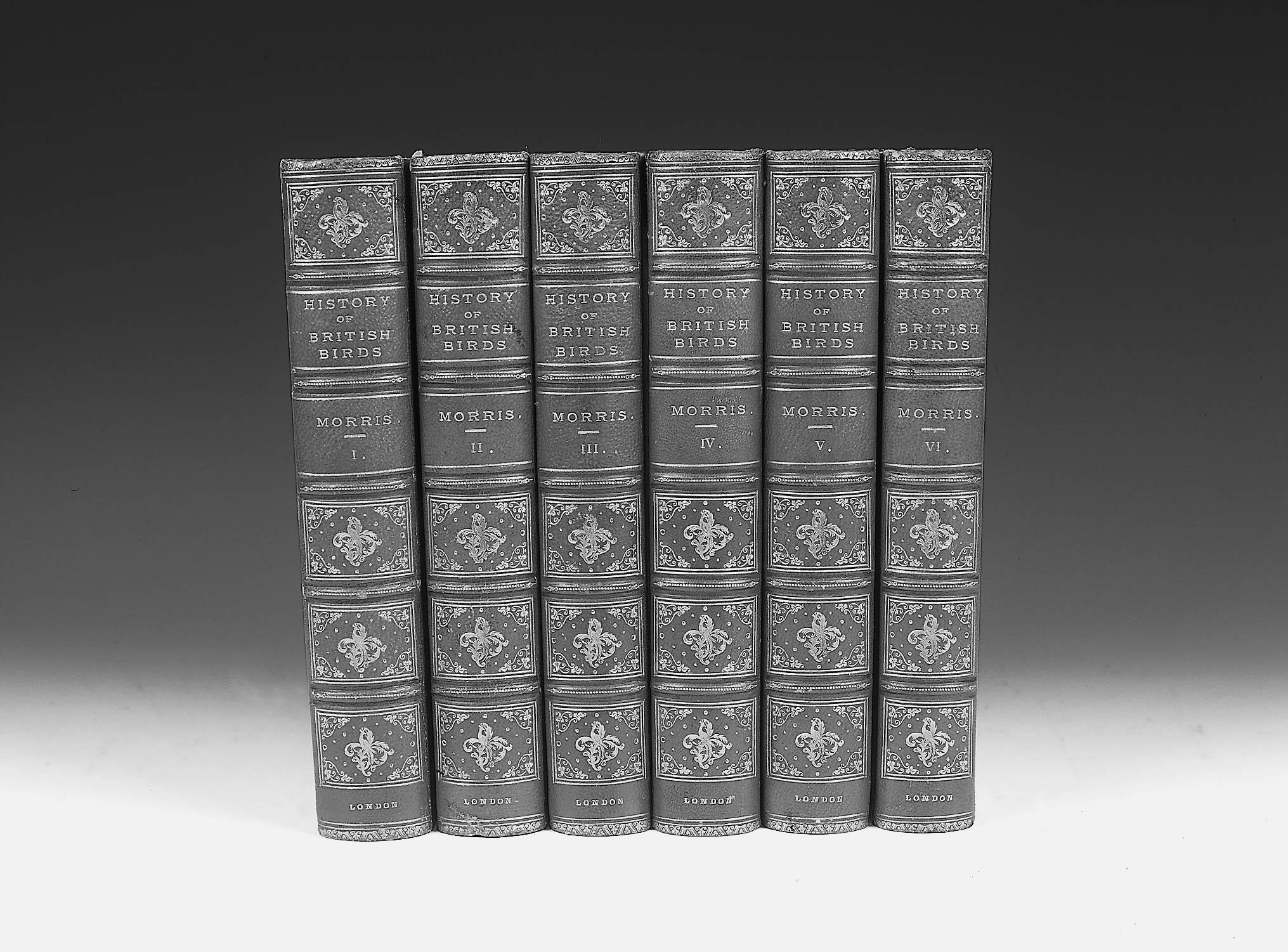 MORRIS (REV F O) ...