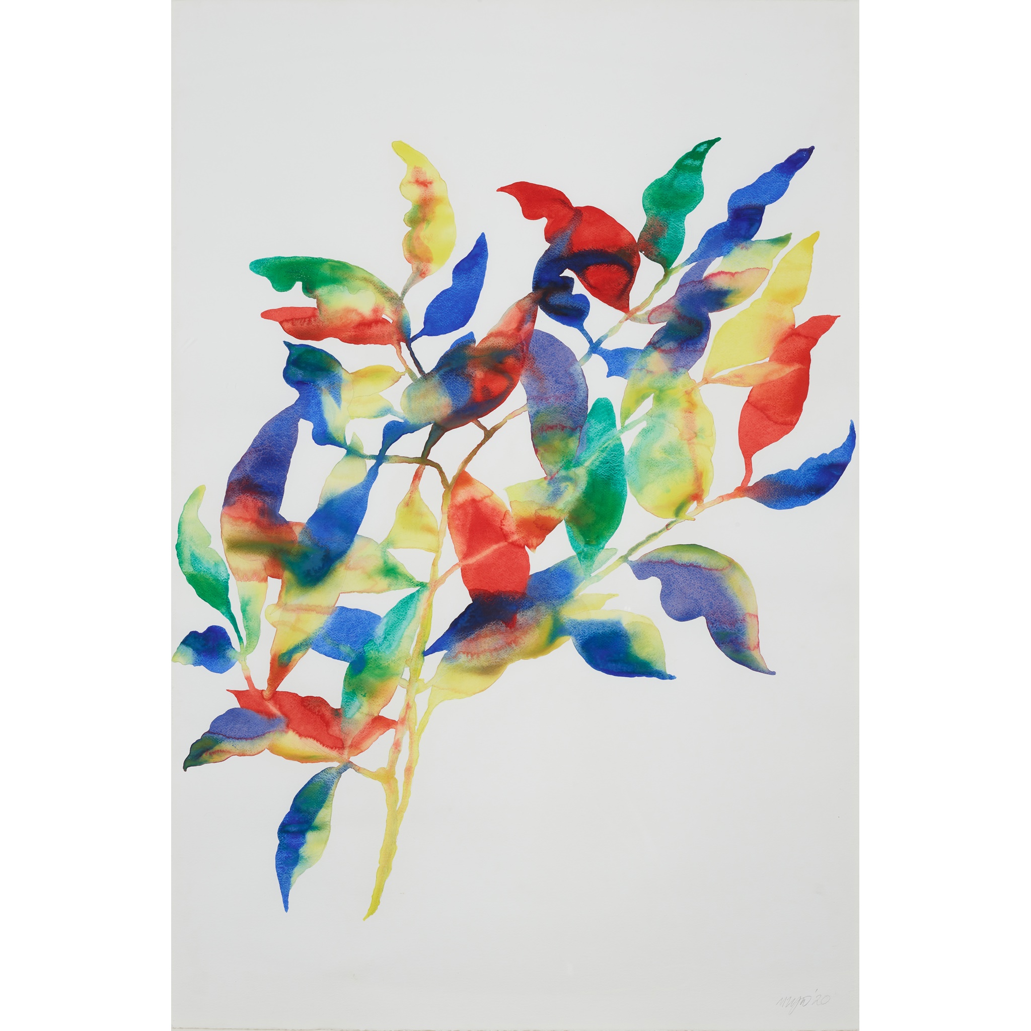 MICHAEL ZYW (SCOTTISH 1951-)