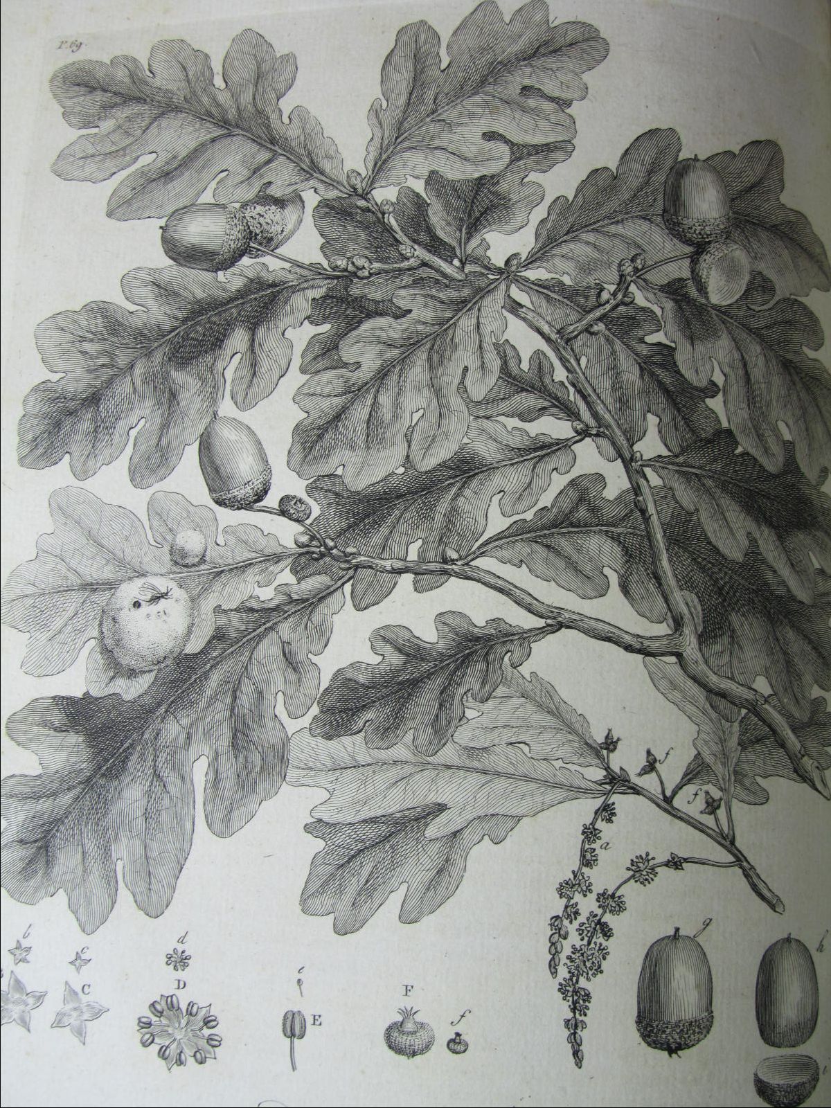 Evelyn, John - Edinburgh binding