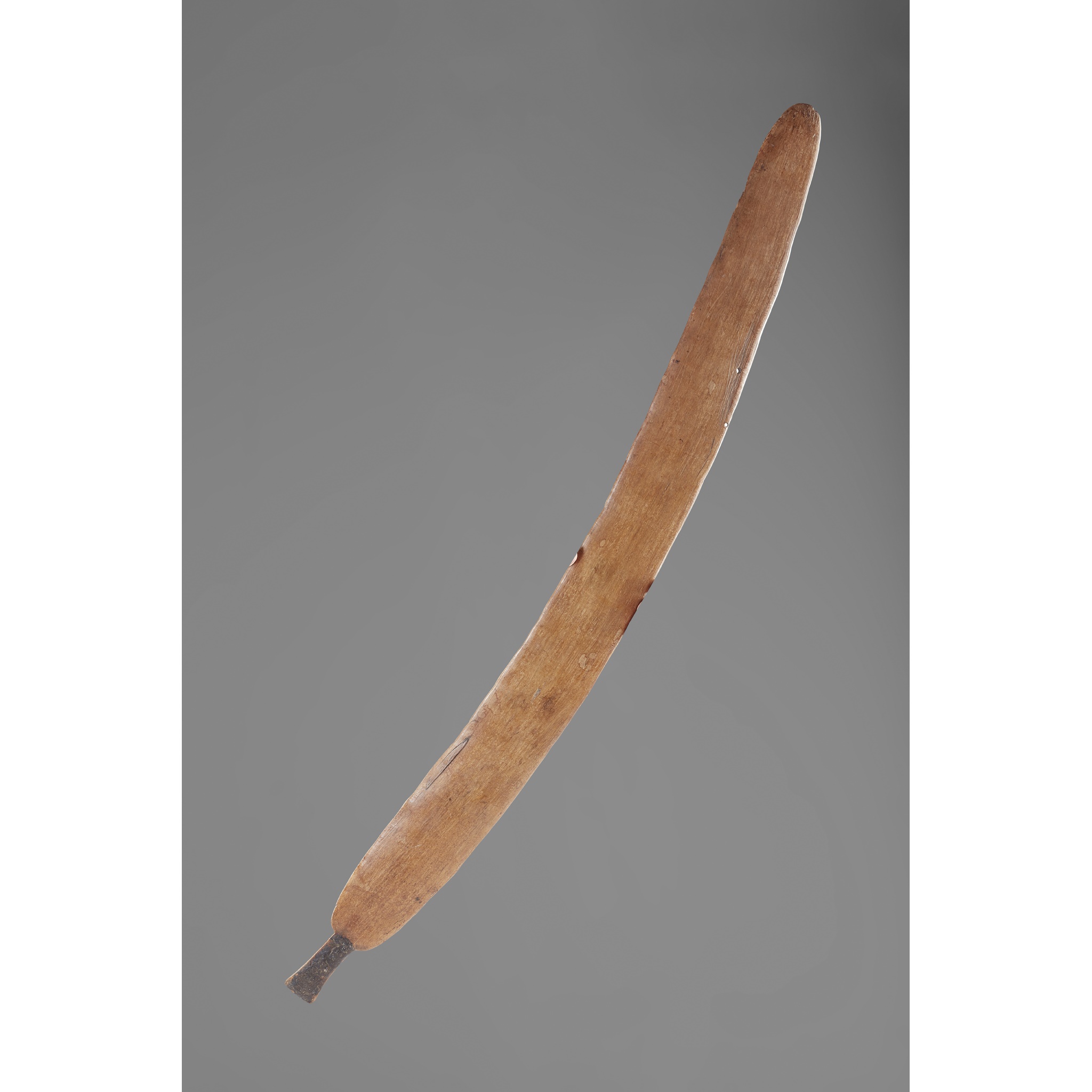 RAINFOREST SWORD CLUB