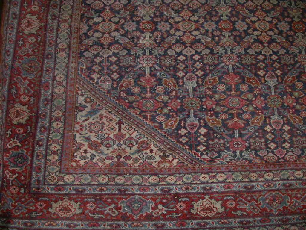 A Fereghan carpet