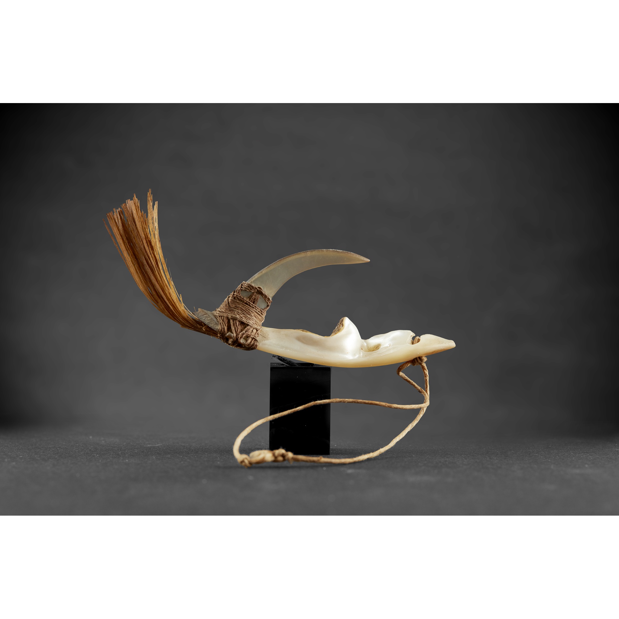 FISH HOOK