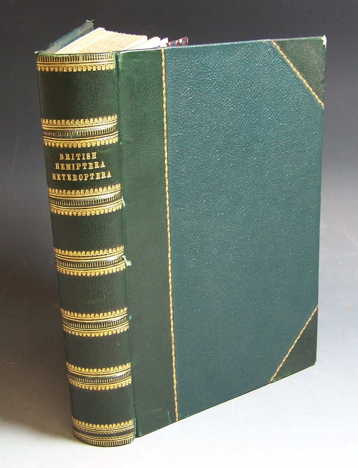 Entomology--Saunders, Edward