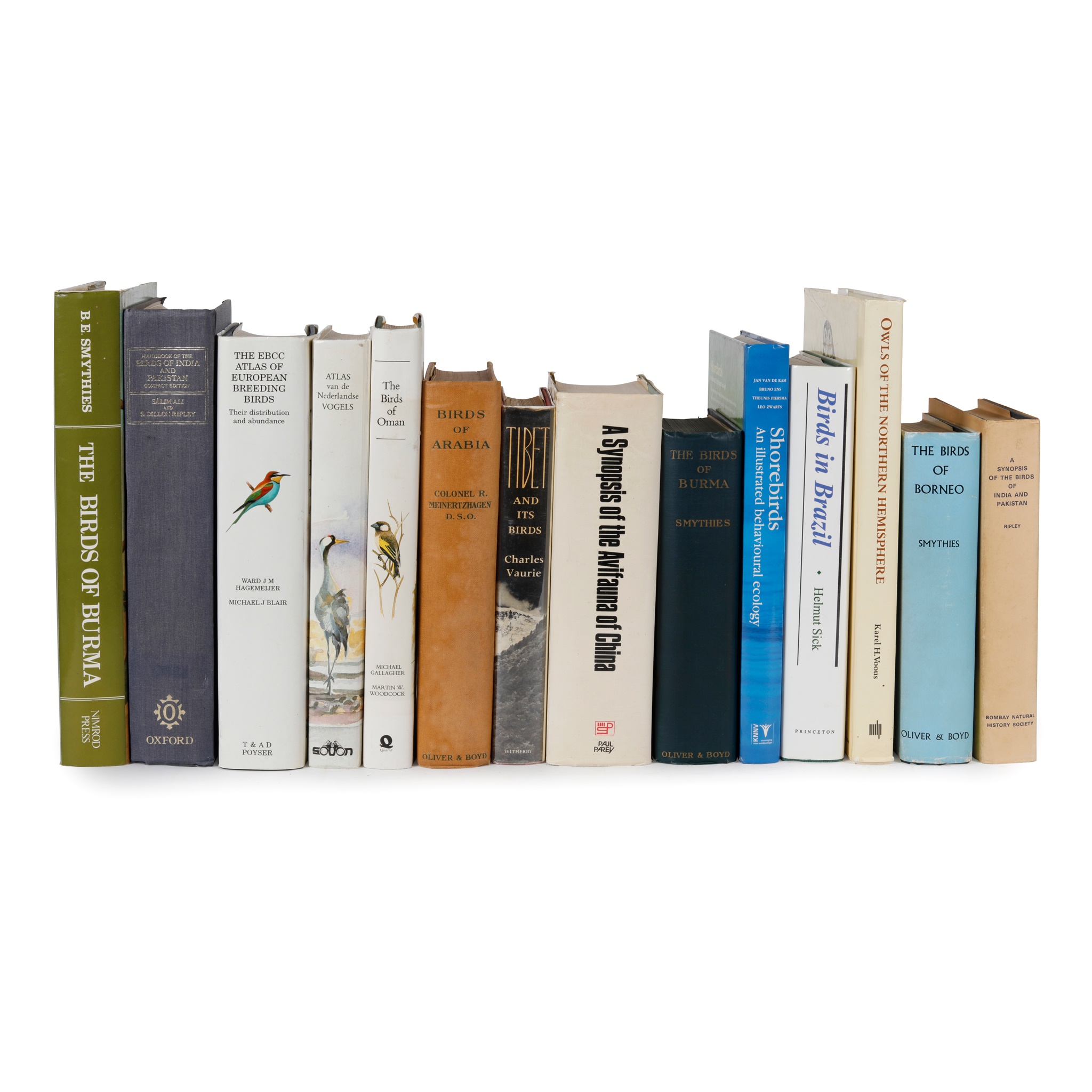 Modern Bird Books, a collection