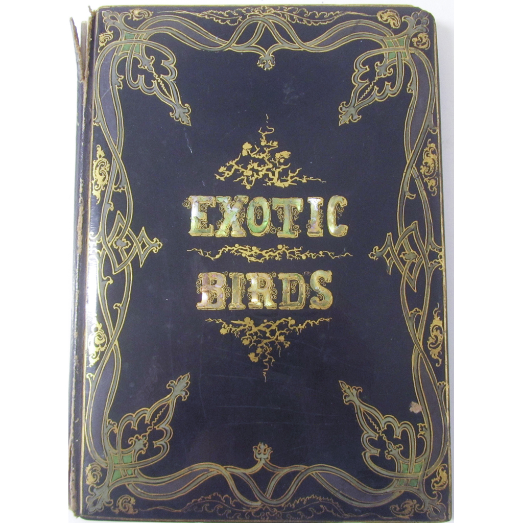 Enamelled Binding - Jerrard, Paul