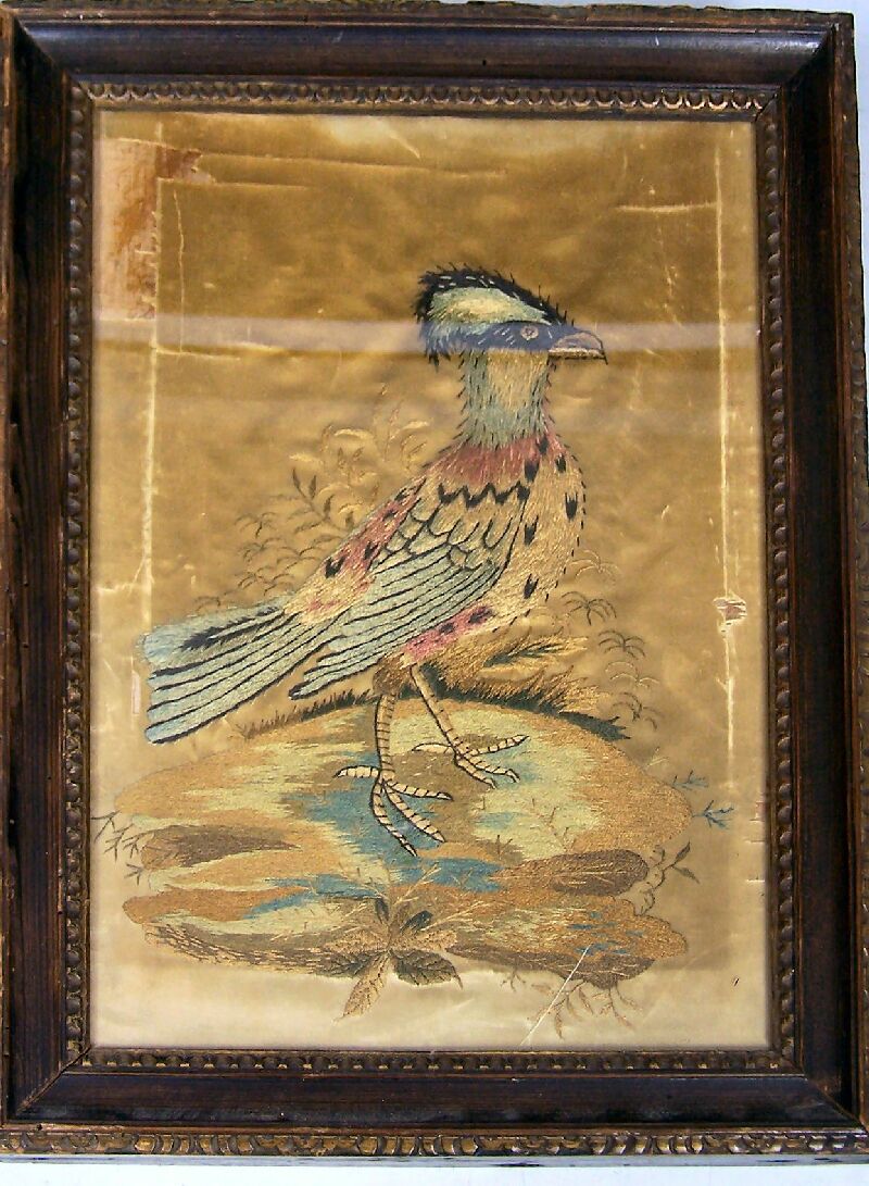 A group of early Victorian bird pictures