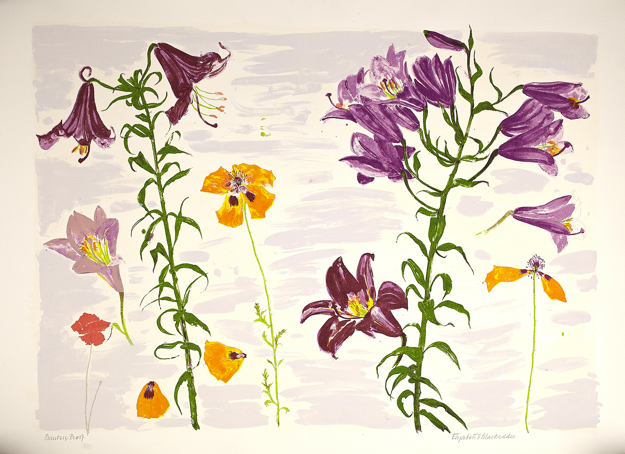 ELIZABETH VIOLET BLACKADDER D.B.E., R.A., R.S.A., R.S.W., R.G.I., D.LITT (SCOTTISH B.1931)