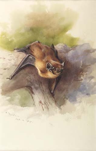 ARCHIBALD THORBURN (1860-1935)
