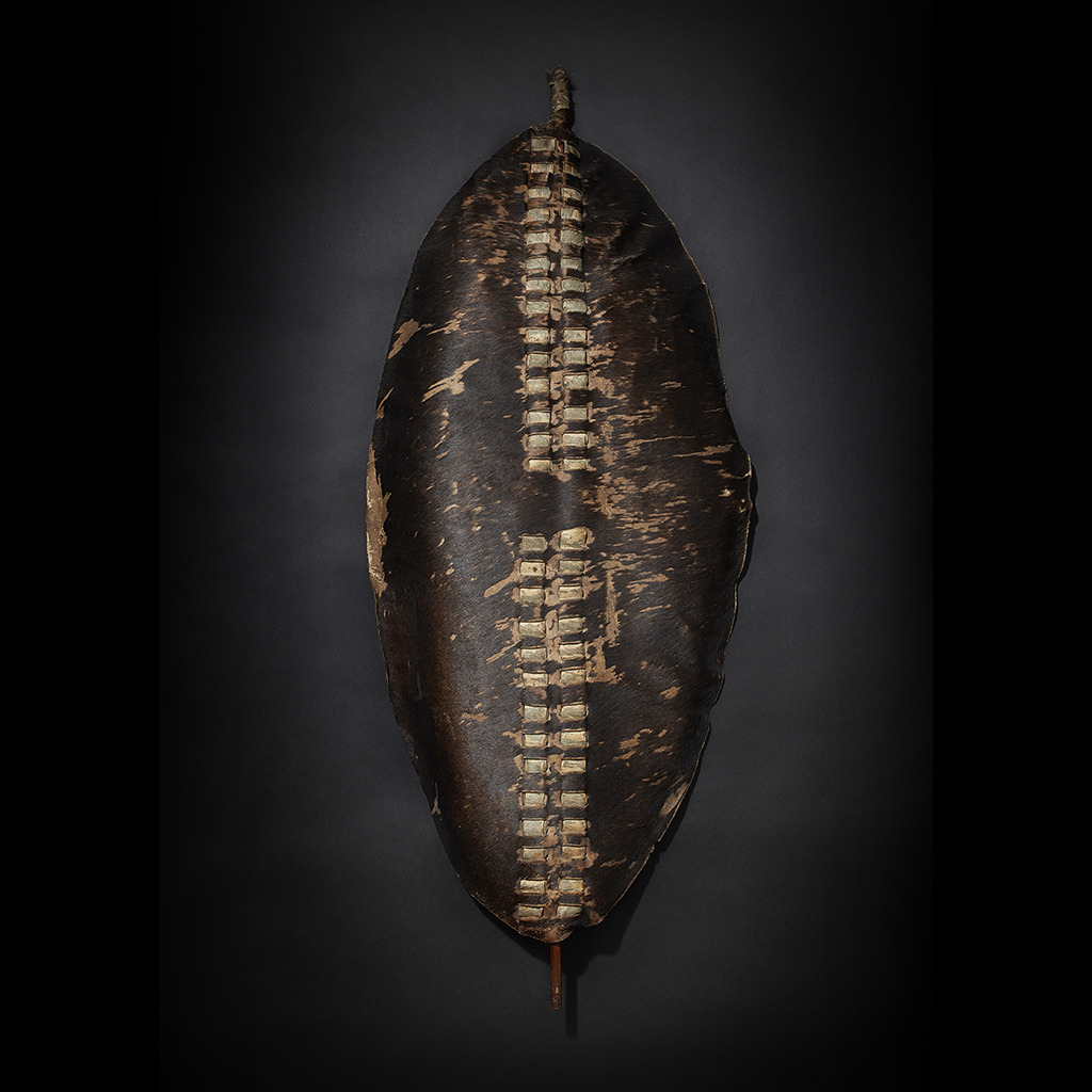 ZULU SHIELD, ISIHLANGU