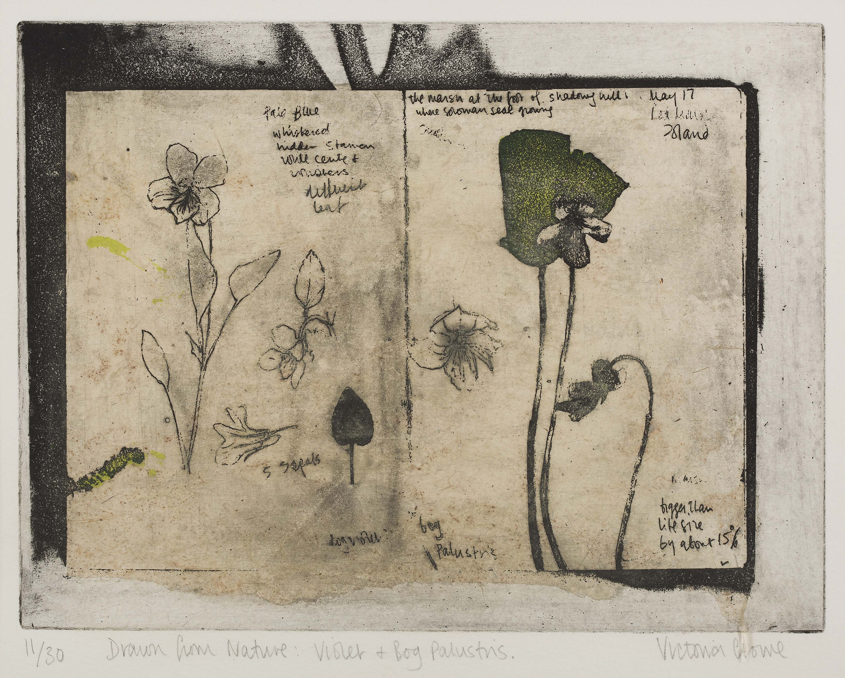 VICTORIA CROWE O.B.E., R.S.A., R.S.W. (SCOTTISH B.1946)