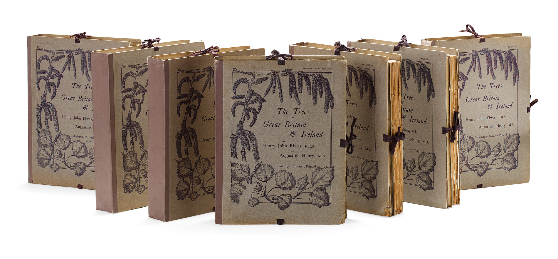 Elwes, Henry John - Henry, Augustine